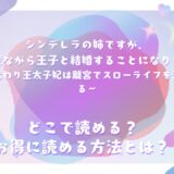 『シンデレラの姉ですが、不本意ながら王子と結婚することになりました～身代わり王太子妃は離宮でスローライフを満喫する～』が読めるサイトは？